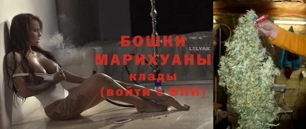 дживик Верхний Тагил