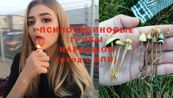 PSILOCYBIN Верея