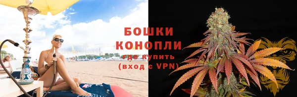 дживик Верхний Тагил