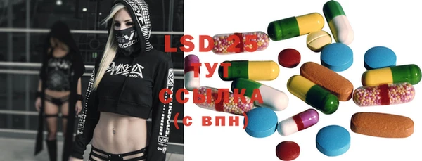 дживик Верхний Тагил