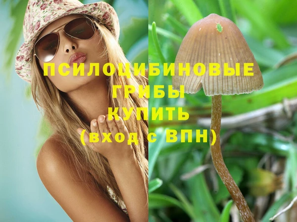 дживик Верхний Тагил