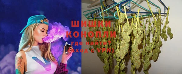 МДПВ Волоколамск