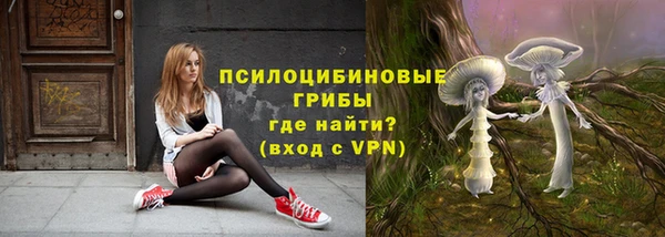 дживик Верхний Тагил