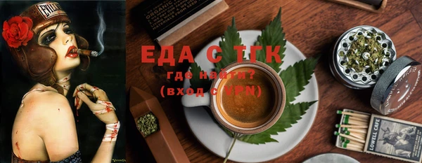 дживик Верхний Тагил