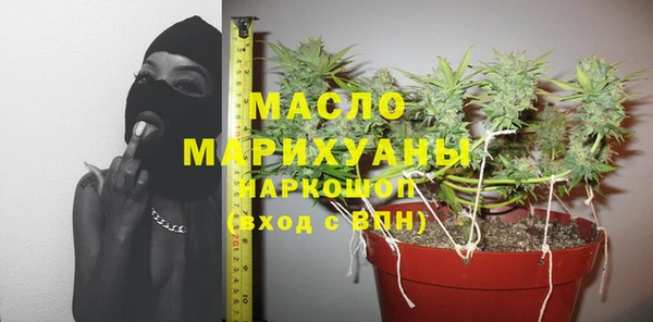 ешки Бородино