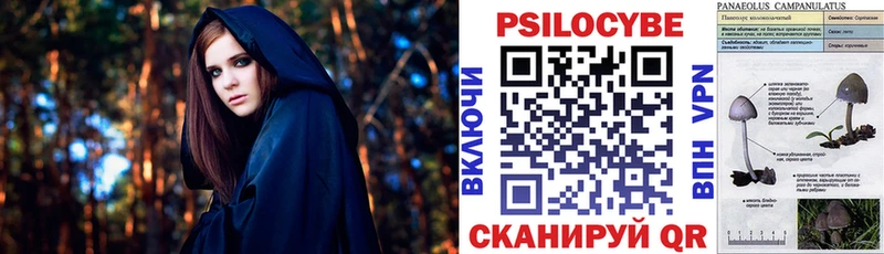 где купить наркоту  Емва  Псилоцибиновые грибы мухоморы 